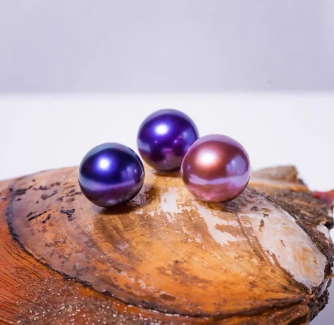 十三太保爱迪生，活体开蚌不退不换  可定制