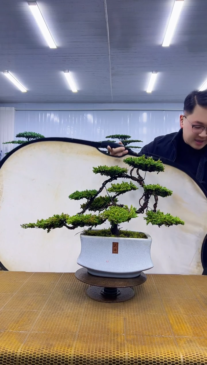 无花朵000000000000000