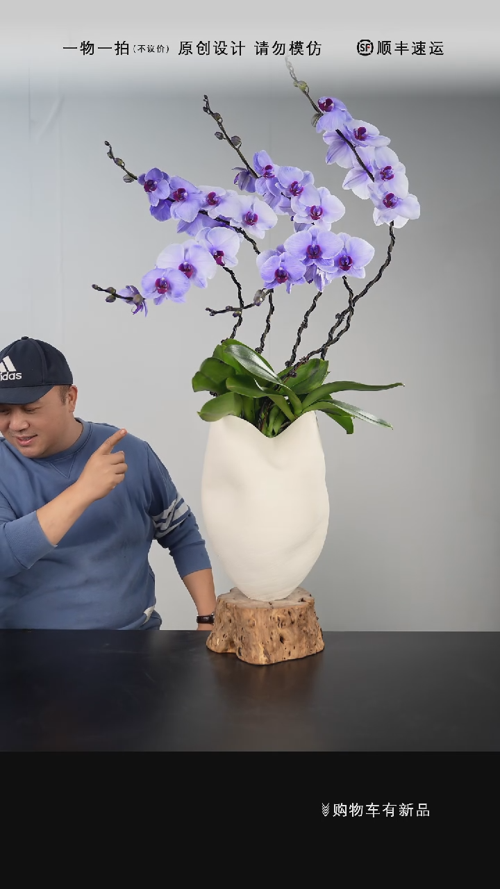 【闪购商品】003号链接【一物一拍】艺术盆景