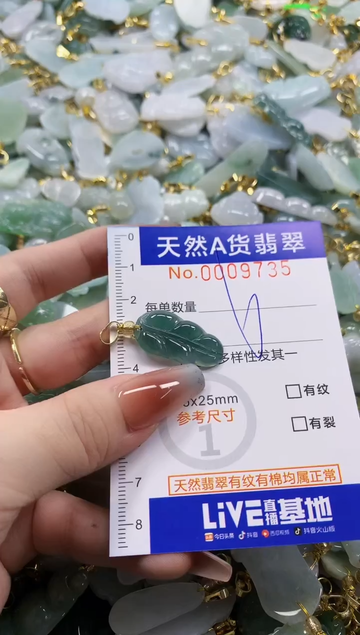 颈饰未镶嵌翡翠天然A货翡翠