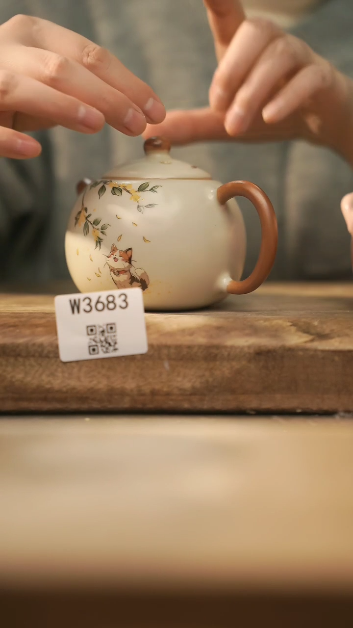 【闪购商品】【经典福利】/ 壶@@W3683