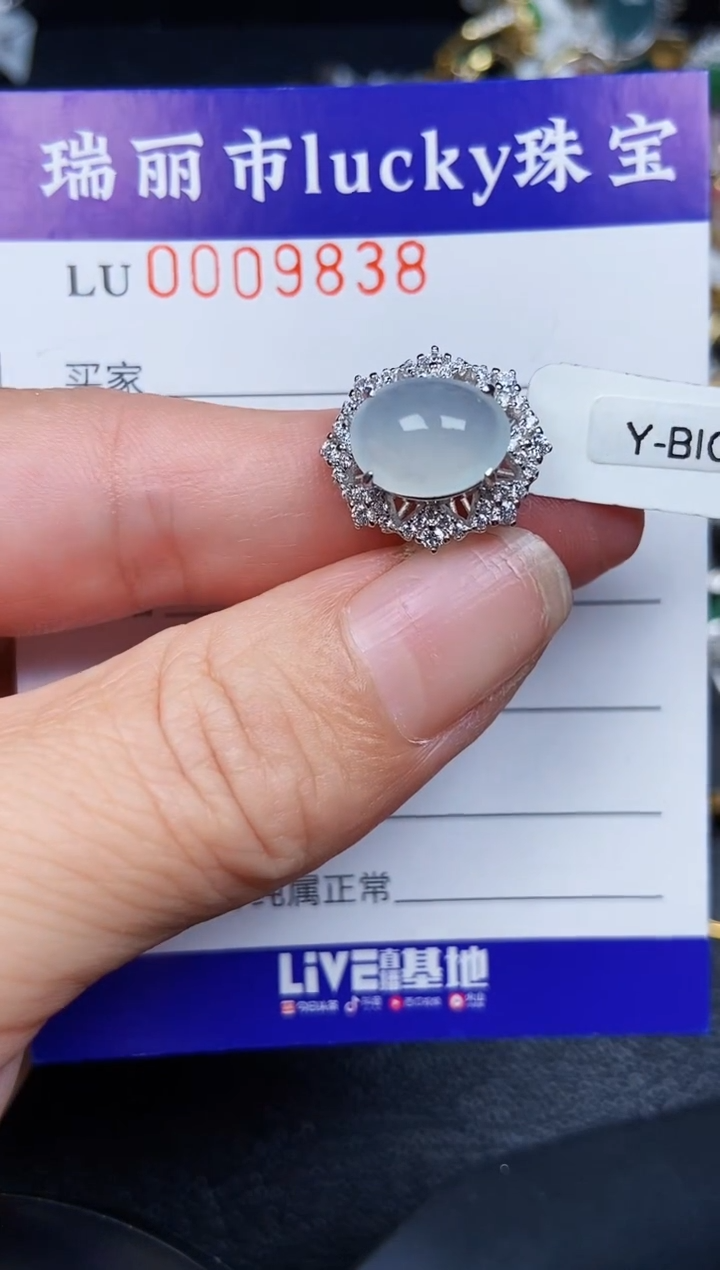 翡翠银S925镶嵌颈饰9838