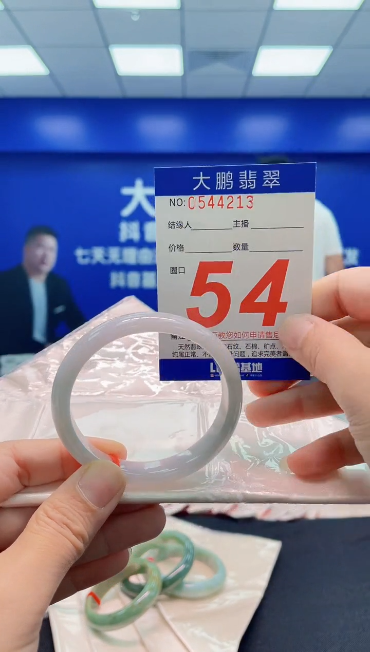 未镶嵌手镯翡翠AAAAAAAAA
