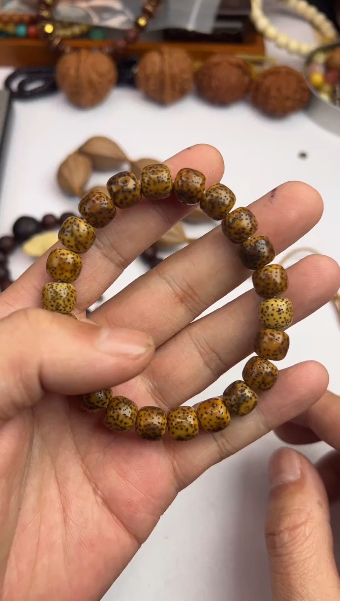 【闪购商品】星月菩提手串星月菩提