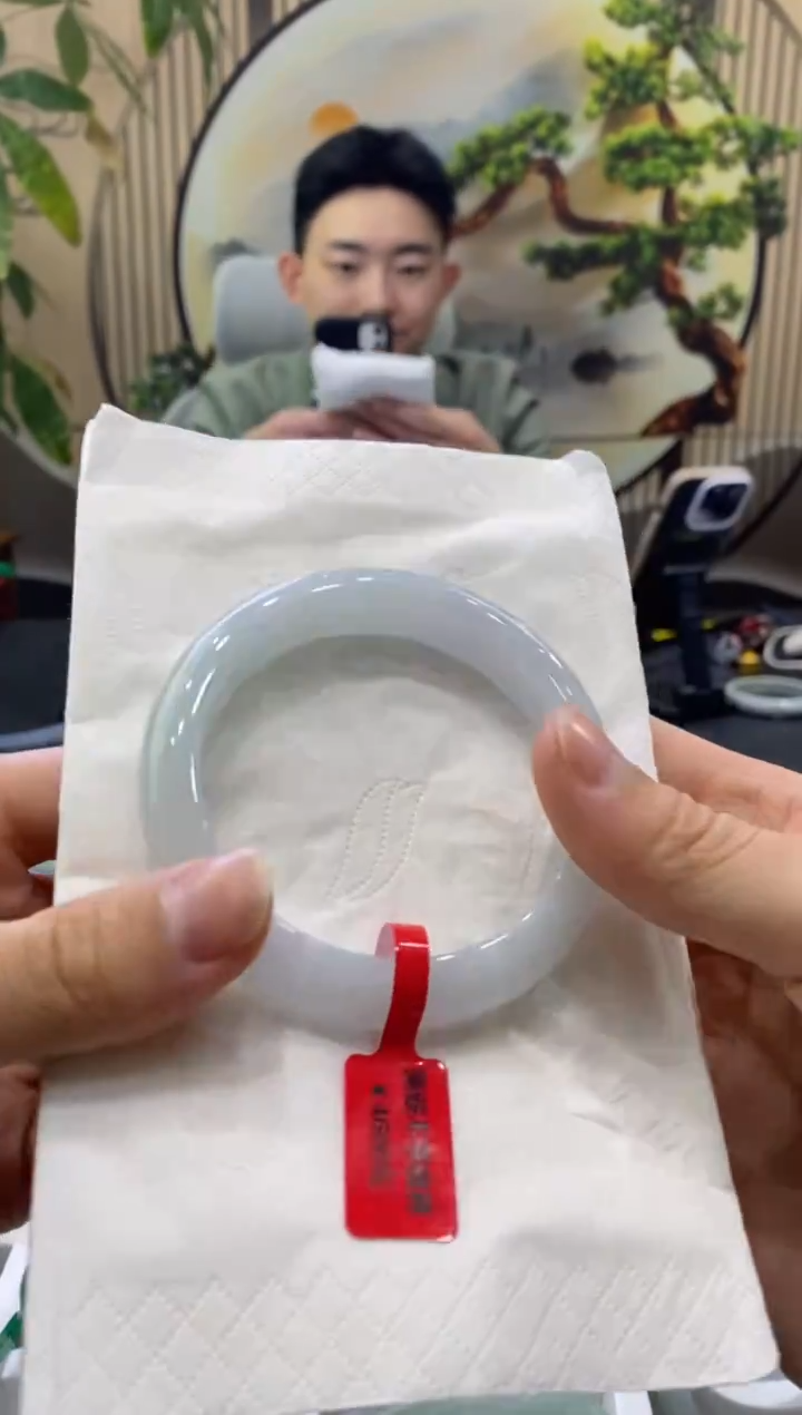 未镶嵌手镯翡翠8767