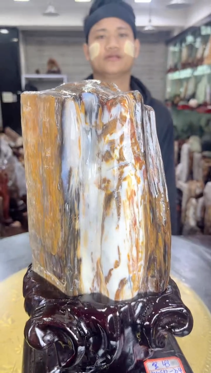 【闪购商品】硅化玉珠宝奇石未镶嵌缅甸天然树化玉