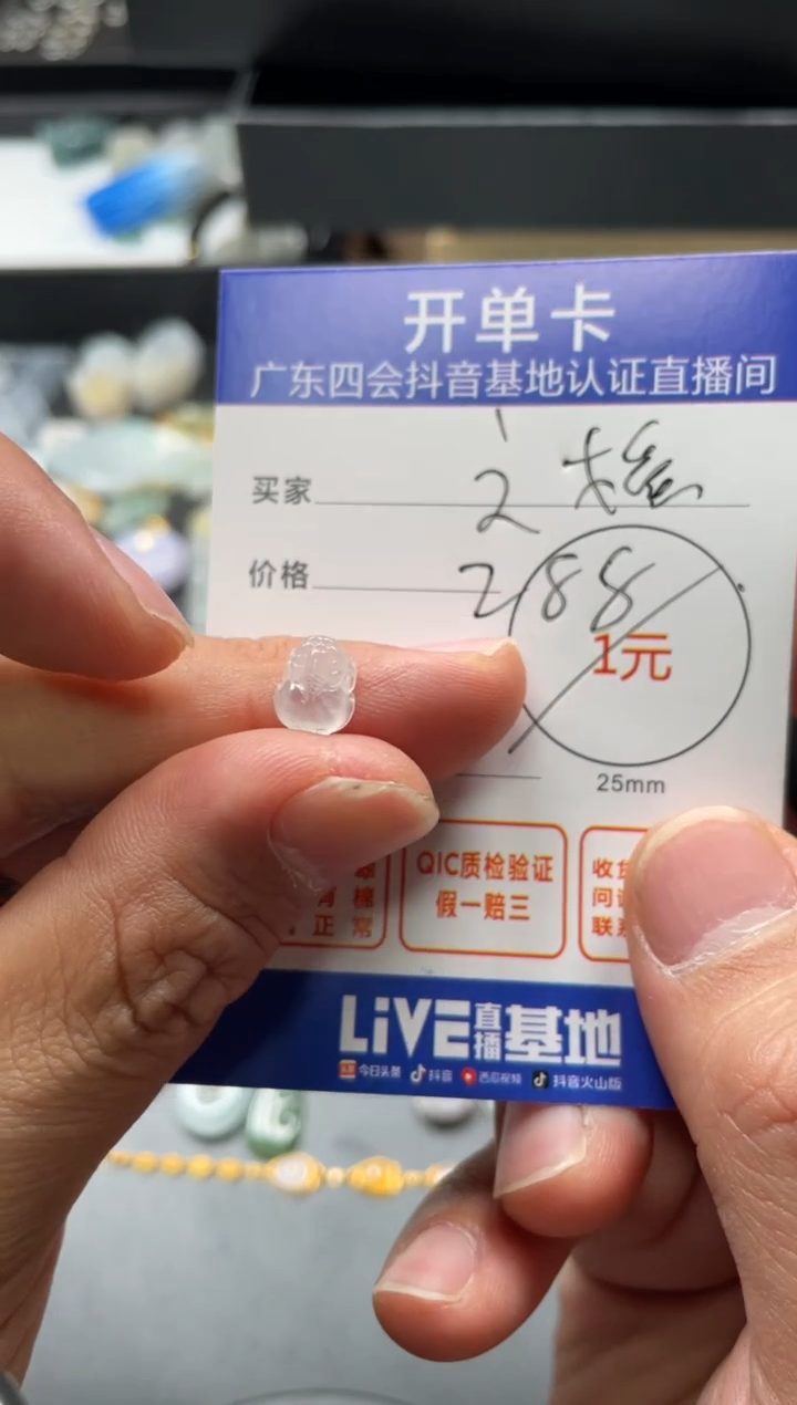 颈饰未镶嵌翡翠之*?挂件