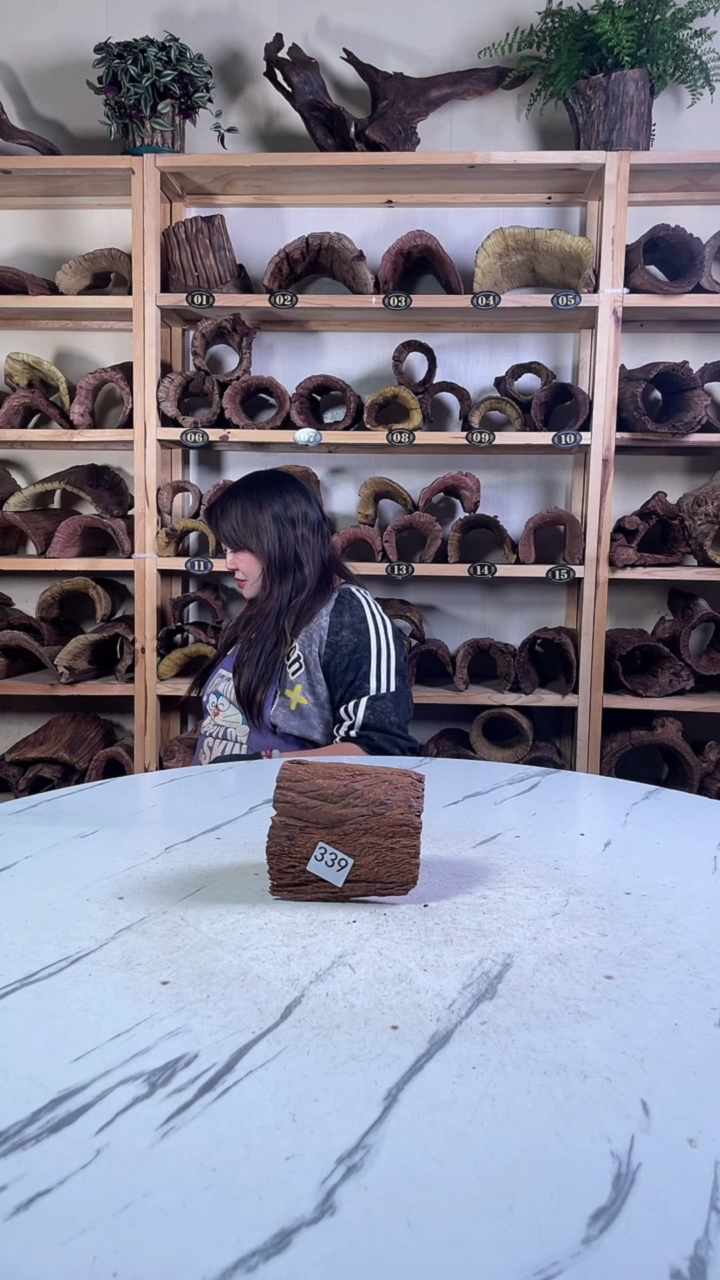 阿*云南紫柚木造景沉木339