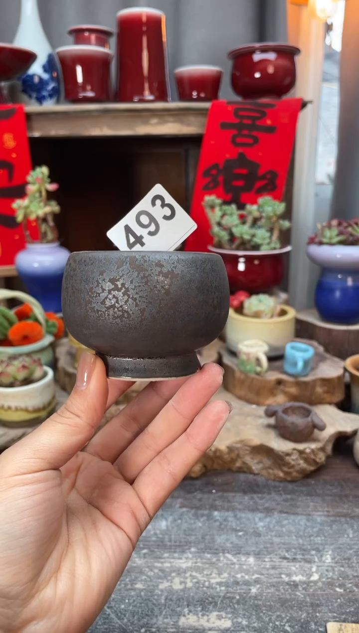 【闪购商品】摆件493知木小芳花盆