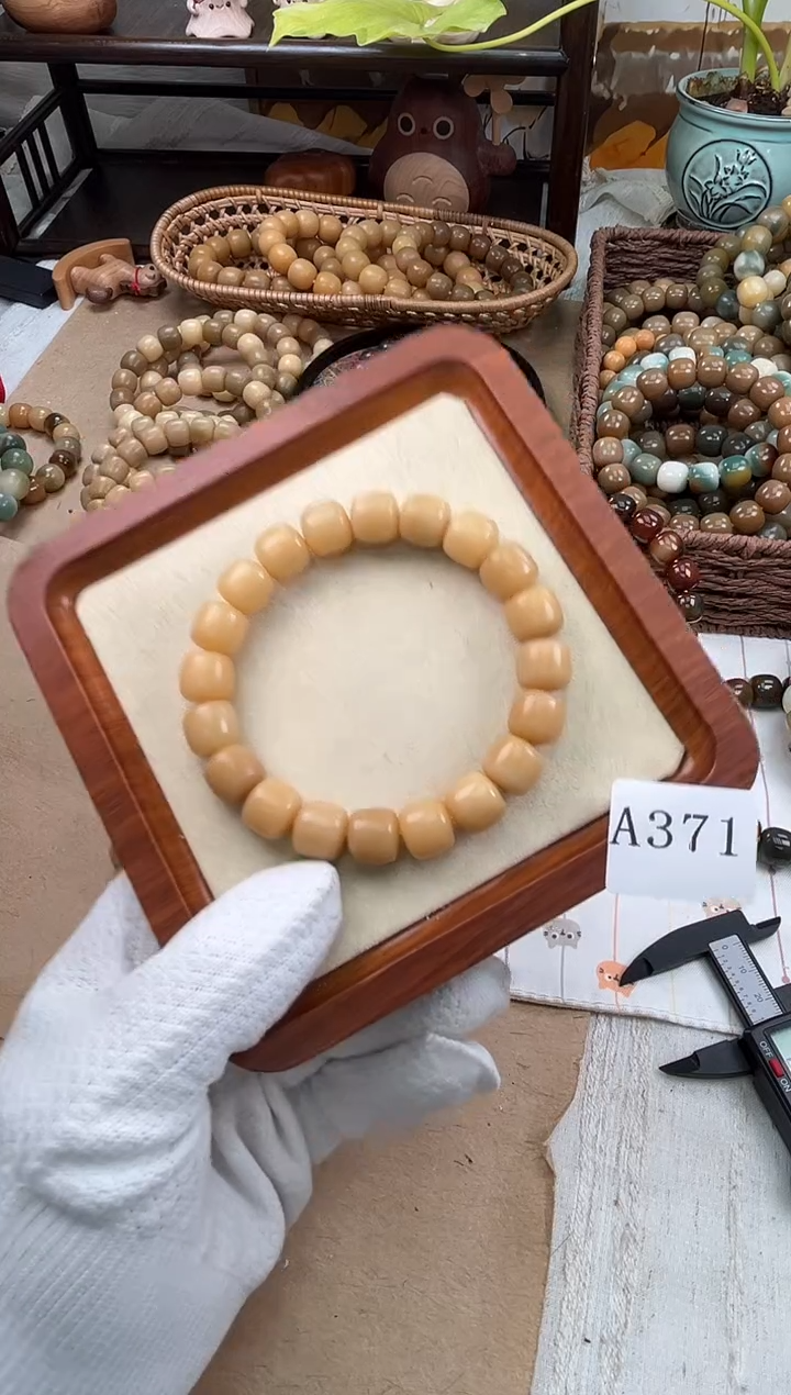 手串菩提根/象牙果a371 卡12.8 干磨海子