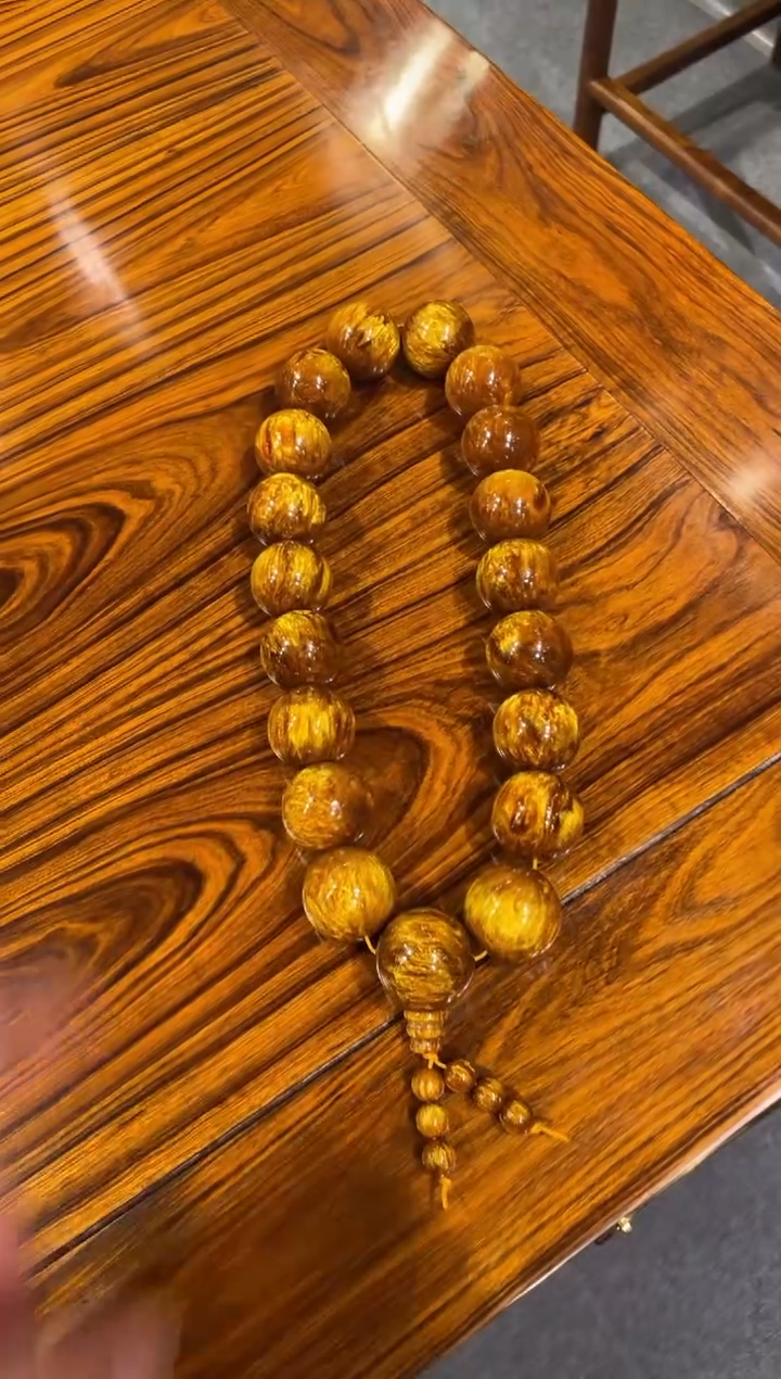 木手gggg666666666666666666666