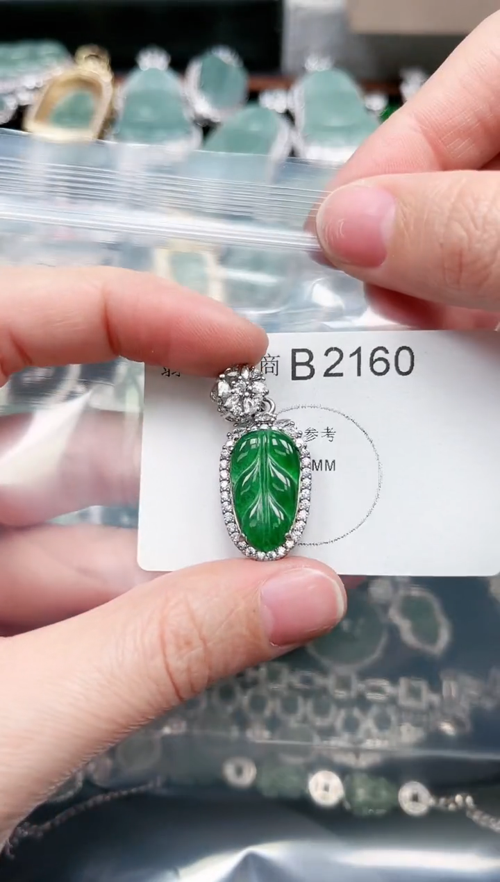 【闪购商品】翡翠颈饰未镶嵌赠皮绳2160