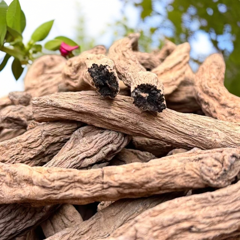 乌金参-泡酒/煲汤/深山自然生长搭配山茱萸