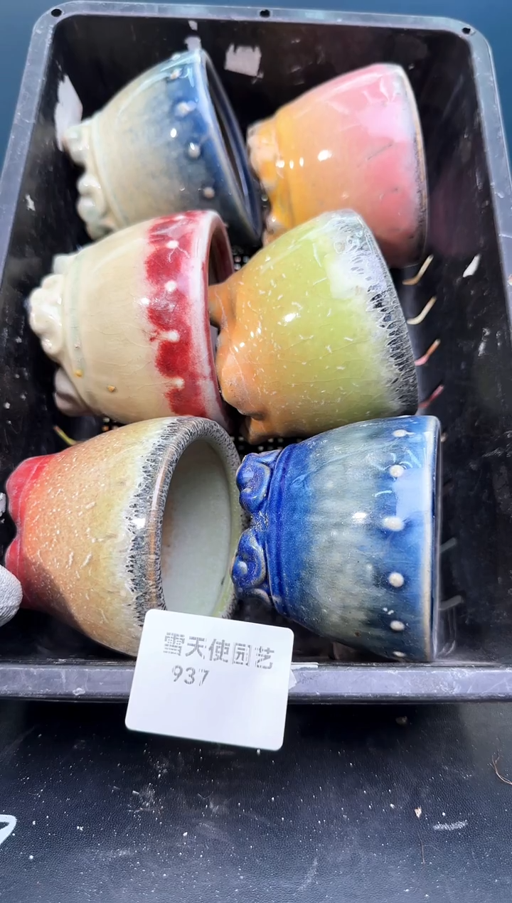 9 37 小南瓜盆 5 个默认微瑕