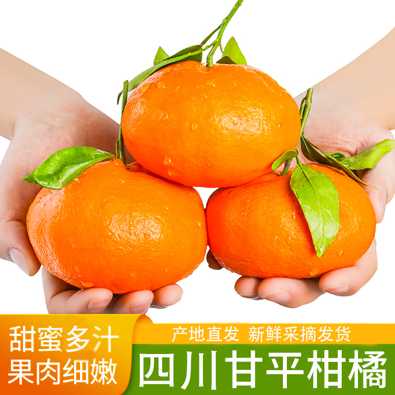 1正宗四川甘平柑橘皇后高端水果皮薄个大果当季新鲜水果3/5斤
