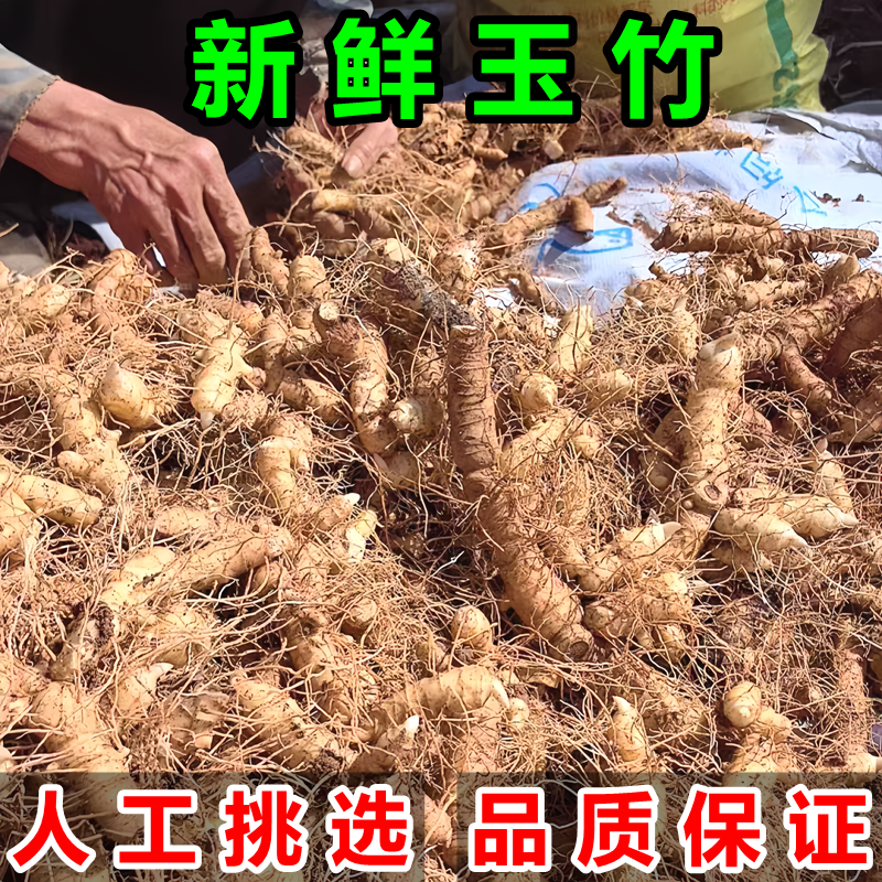 湖南衡阳耒阳新鲜现挖农家玉竹湘玉竹干片