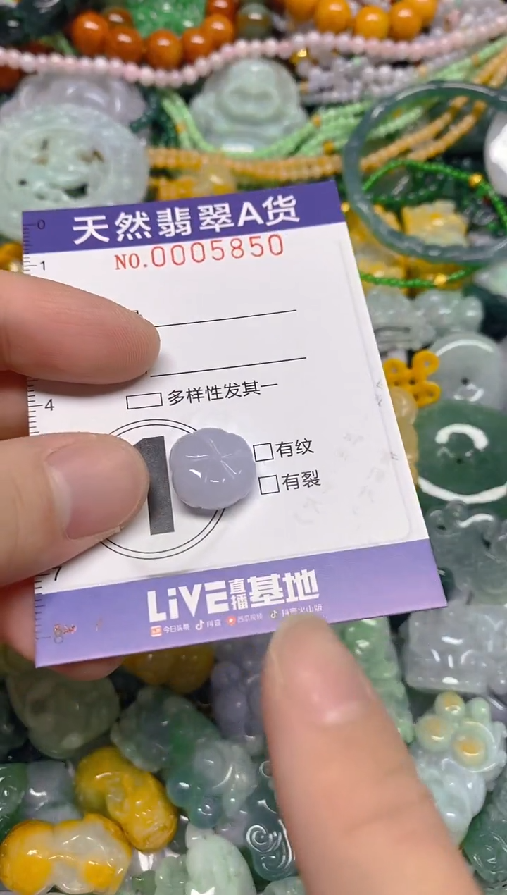 颈饰未镶嵌翡翠0005850