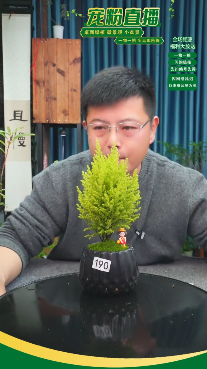 无花朵马****馆苔藓微景观190号