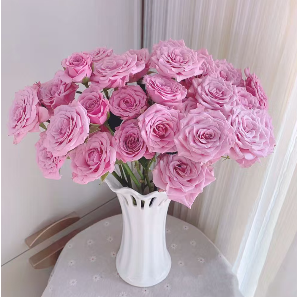 花無凡【诺拉多头玫瑰10支】【3单送配草，5单送配花】