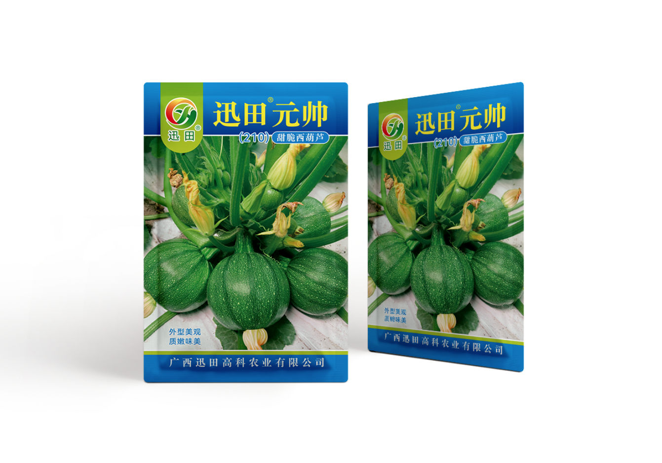 迅田元帅甜脆西葫芦种子云南小圆瓜鲜嫩南瓜清甜可口当季农家蔬菜