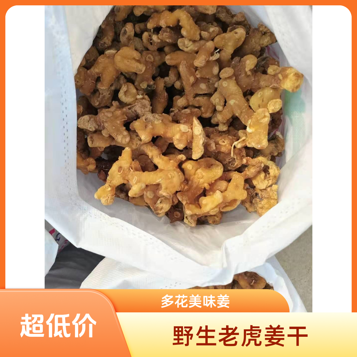多花野生老虎姜干