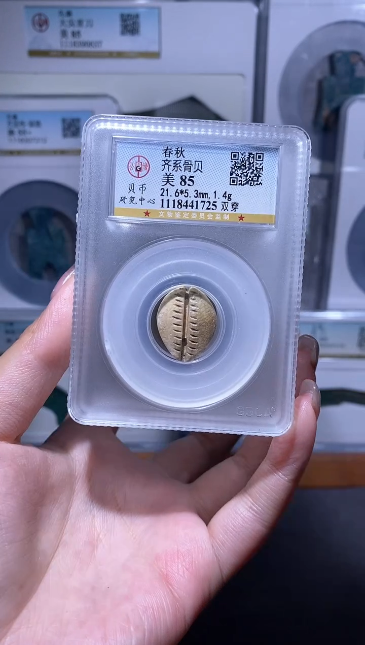 【闪购商品】铜品泉收藏    骨贝币