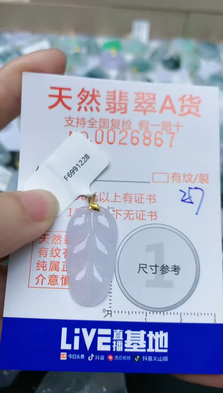 【闪购商品】翡翠颈饰18K金镶嵌天然翡翠A货    157