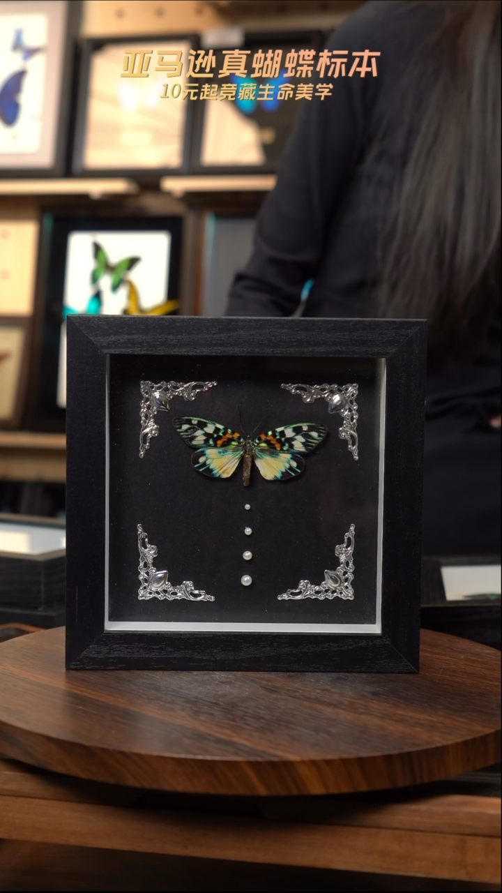 华庆锦斑蛾巴洛克风格6寸方框