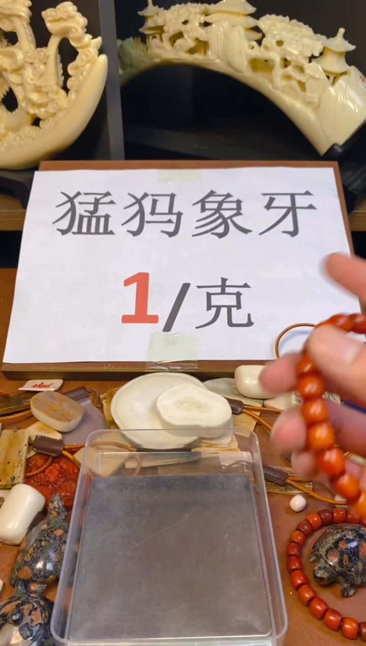 猛犸猪肝红直切10*9单圈