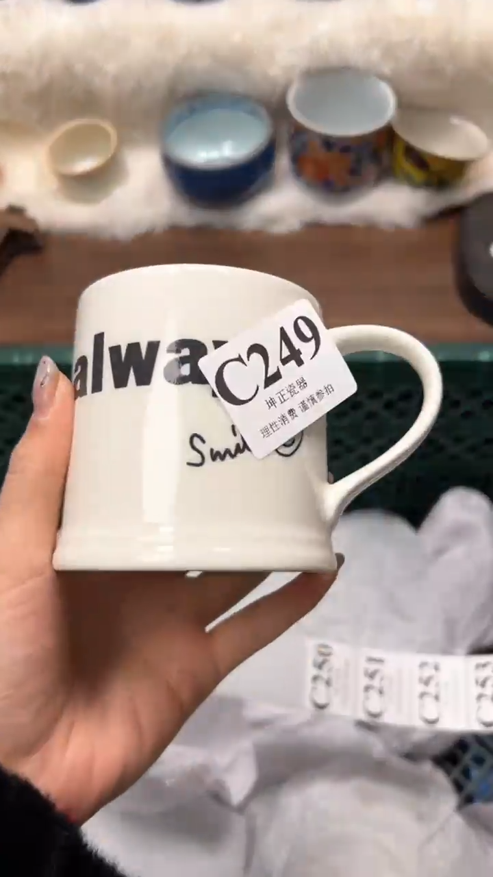 【闪购商品】瓷片          C249