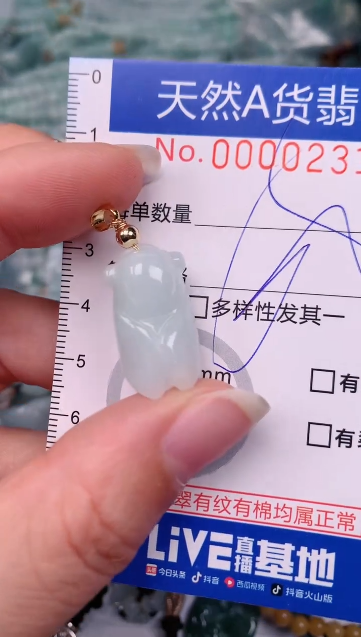 【闪购商品】翡翠颈饰未镶嵌00000231
