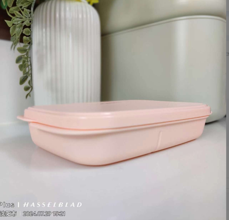（外）清新粉两分格长方形饭盒590毫升 