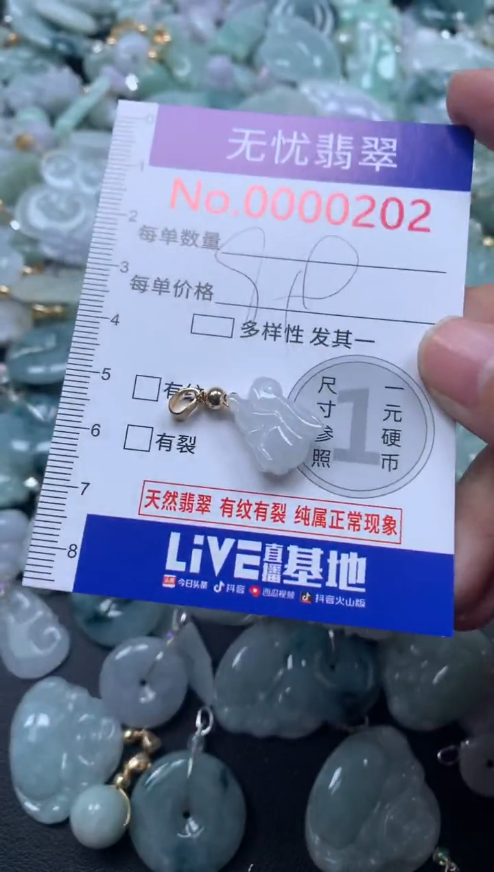 颈饰未镶嵌翡翠202