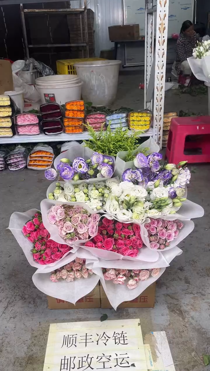 折射10枝+苏菲10枝+莱拉10枝+白色桔梗400克+紫边桔梗400克+黄莺