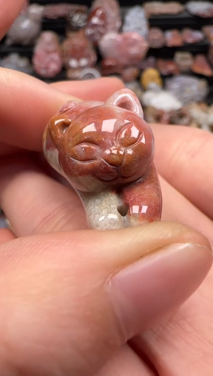 【闪购商品】硅化珊瑚（珊瑚玉）颈饰未镶嵌871