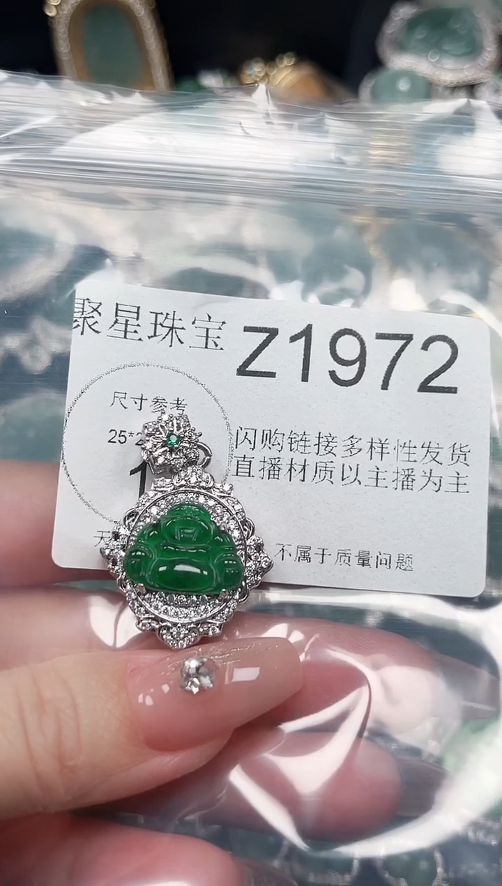 【闪购商品】翡翠颈饰未镶嵌赠皮绳1972