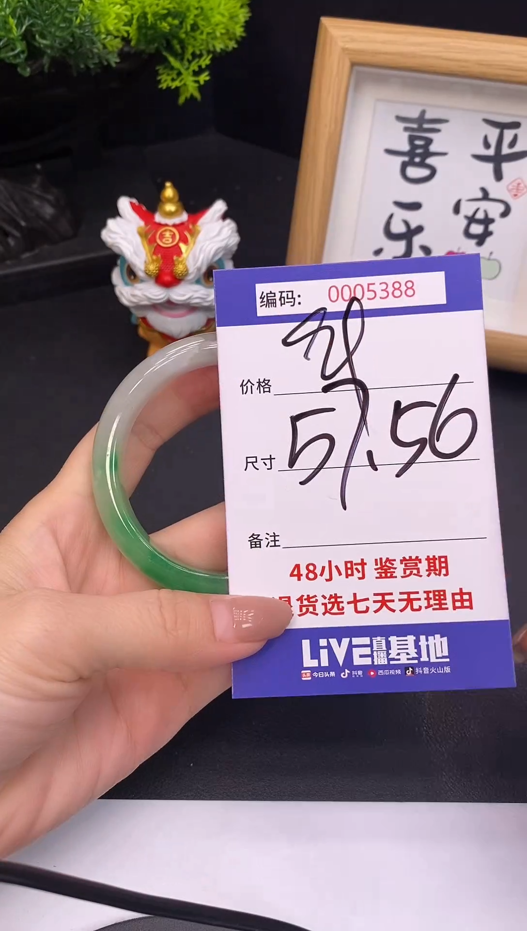 未镶嵌手镯翡翠0005388