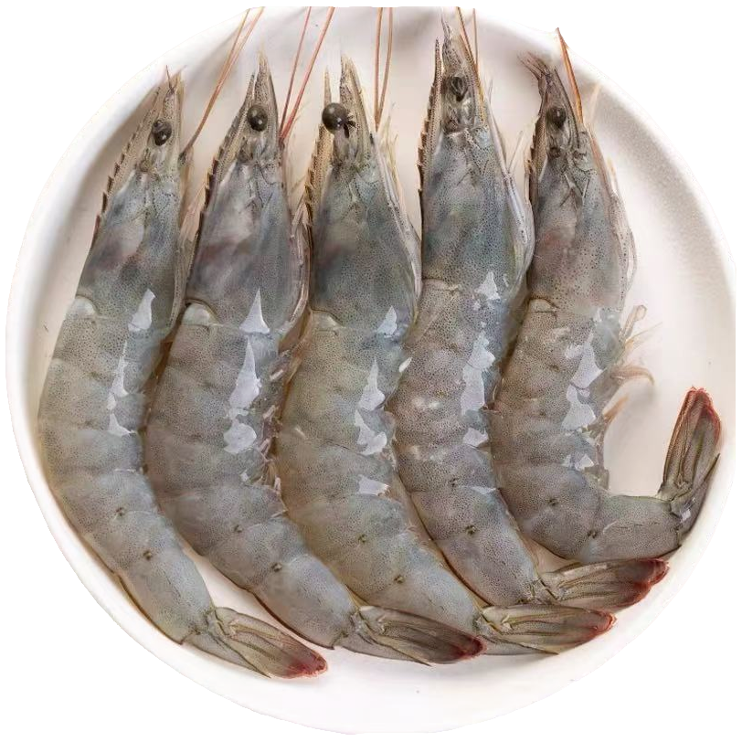 M3【今天拍明天到】海水大虾单只15cm左右四斤/盒含薄碎冰锁鲜 共50~60只海虾 顺丰冷链发货