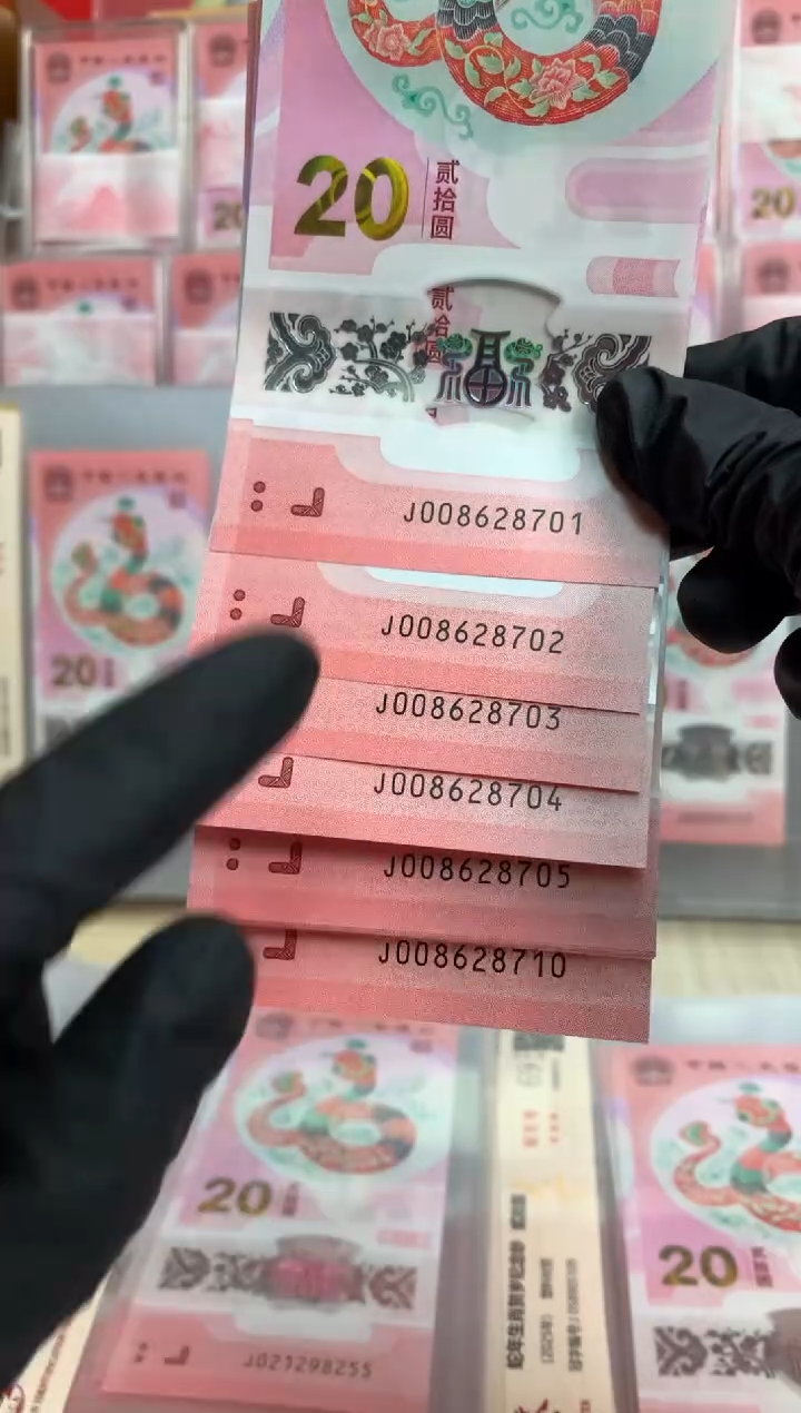 【闪购商品】塑料2025蛇钞  十连号【随机号码】无4