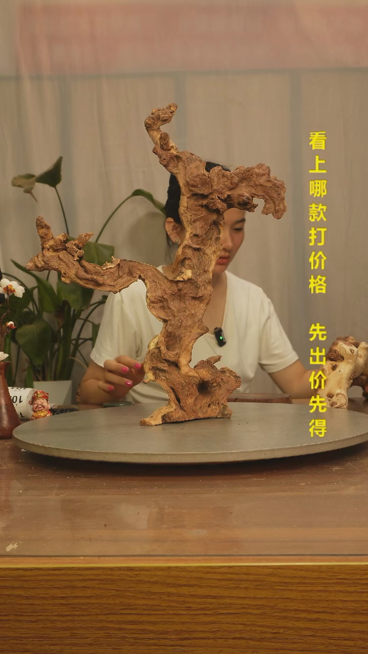 木三*三云南红河金丝红098