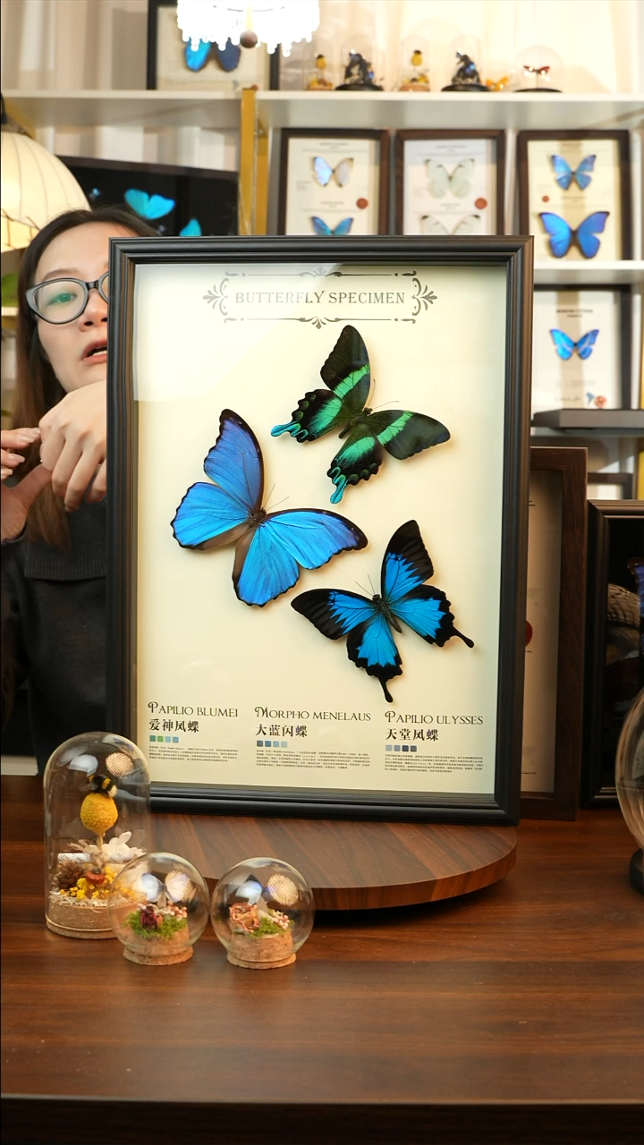 天堂+爱神+大蓝闪组合A3框A596