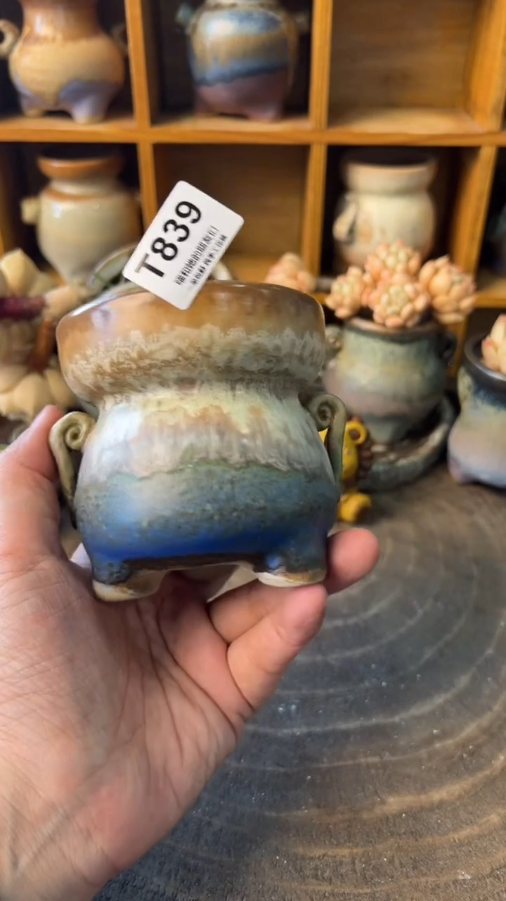 雪*湖839 内口7【多肉花盆多肉盆】