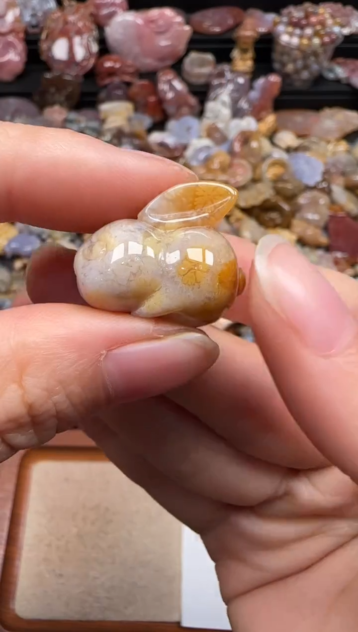 【闪购商品】硅化珊瑚（珊瑚玉）颈饰未镶嵌393