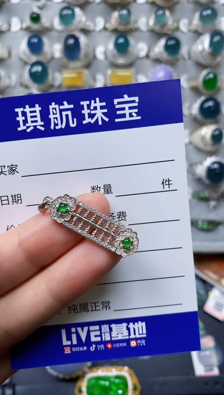 【闪购商品】翡翠颈饰银S925镶嵌0327