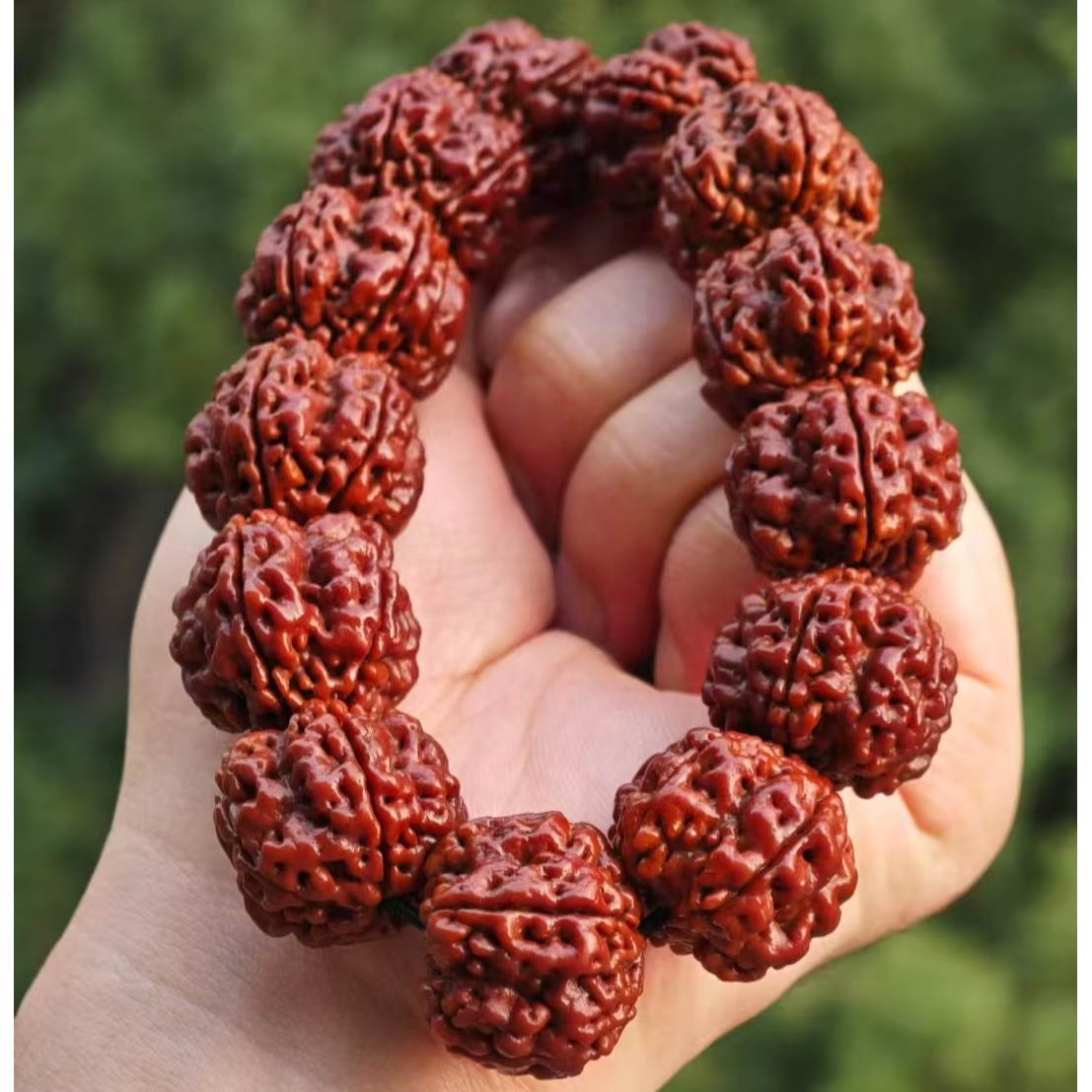 22-23绝世帝王花大金刚大尺寸毕业的品质，梅花桩超大金刚单圈手串