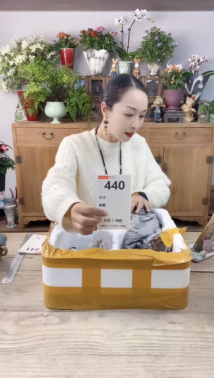 小玩子花盆直播编号440