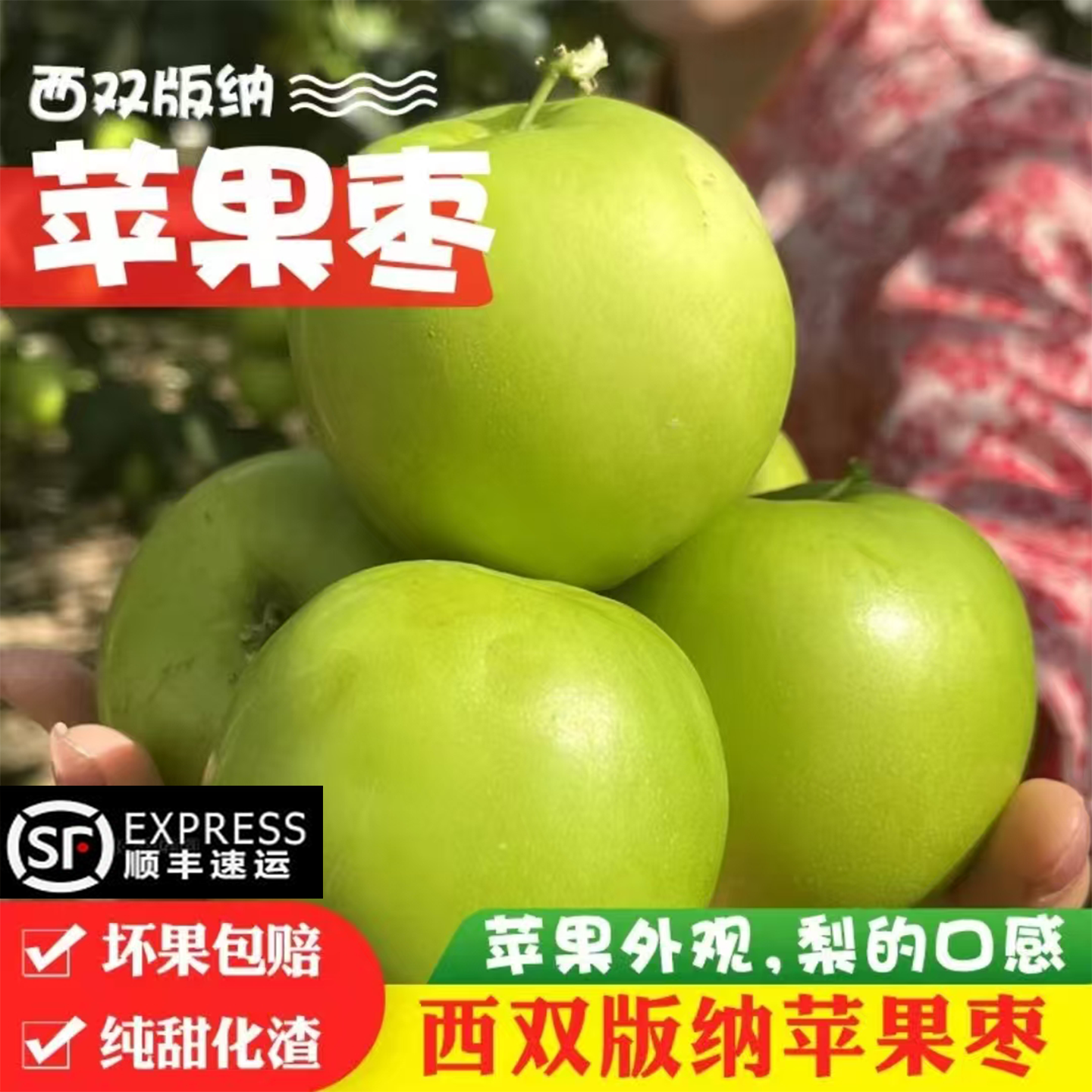 【顺丰快递】云南西双版纳苹果枣新鲜采摘产地鲜1-5斤水果脆甜多汁