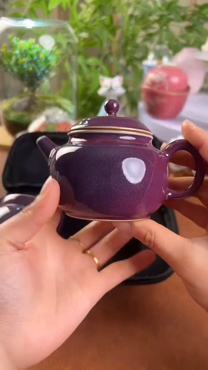 【闪购商品】老实人茶具铺快客