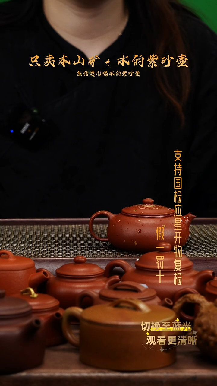 茶壶紫砂朱泥寒江洒金