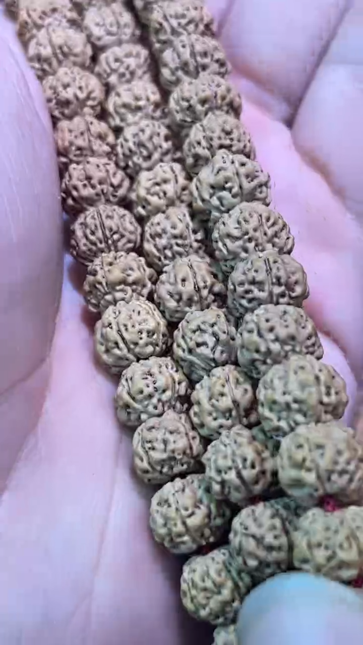 金刚菩提手串平细长串